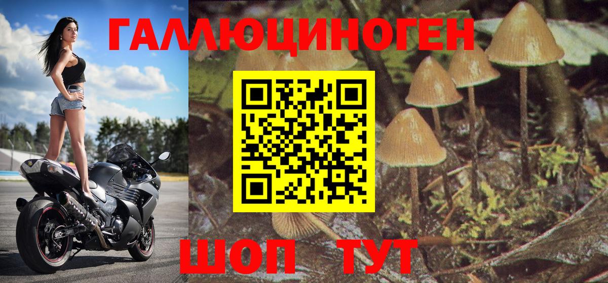 Псилоцибиновые грибы прущие грибы  Псилоцибиновые грибы Psilocybe  даркнет сайт  Барабинск  Вход с VPN 