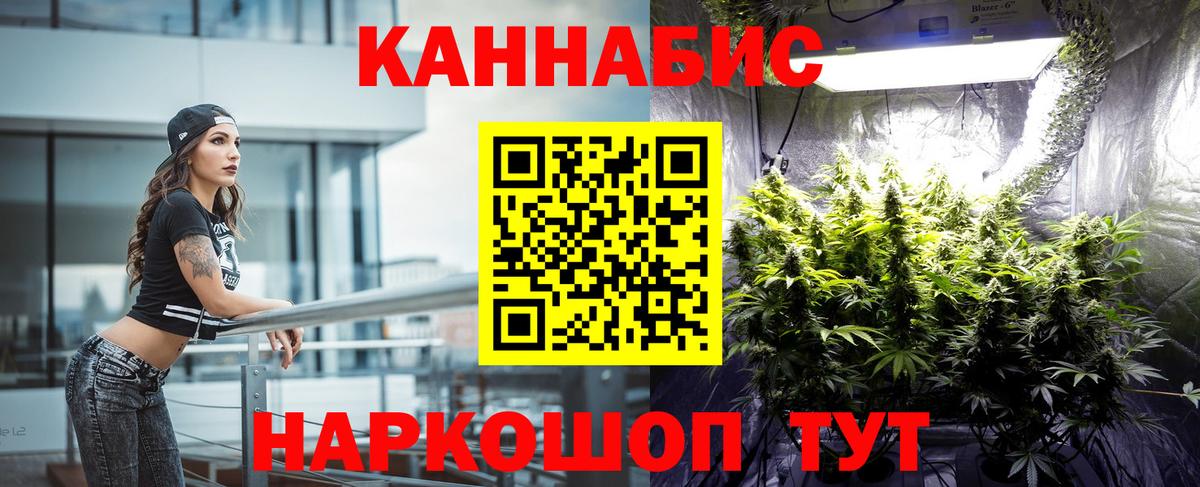 Конопля сатива  Конопля сатива  Вход с VPN  Каннабис Bruce Banner  Барабинск 